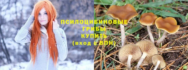 mix Аркадак