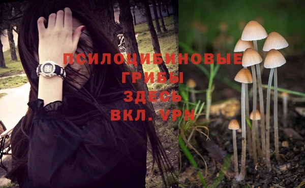 амф Армянск