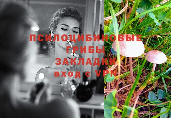 mix Аркадак