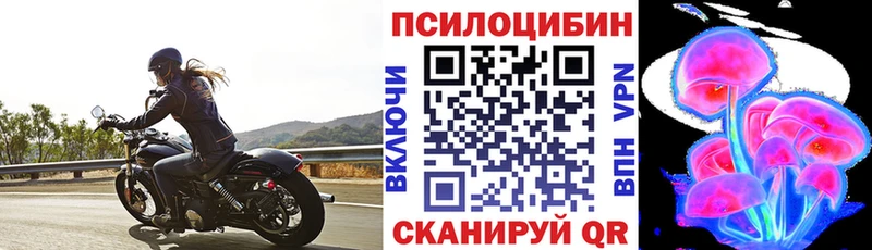 MEGA tor Приволжск Псилоцибиновые грибы Psilocybine cubensis